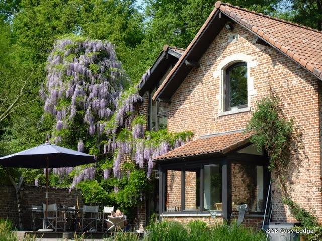 Cosy Lodge Dilbeek Dış mekan fotoğraf